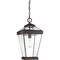 Quoizel Ravine Outdoor Hanging Lantern RAV1910WT - alternate 5